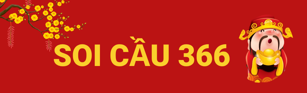 soi-cau-247